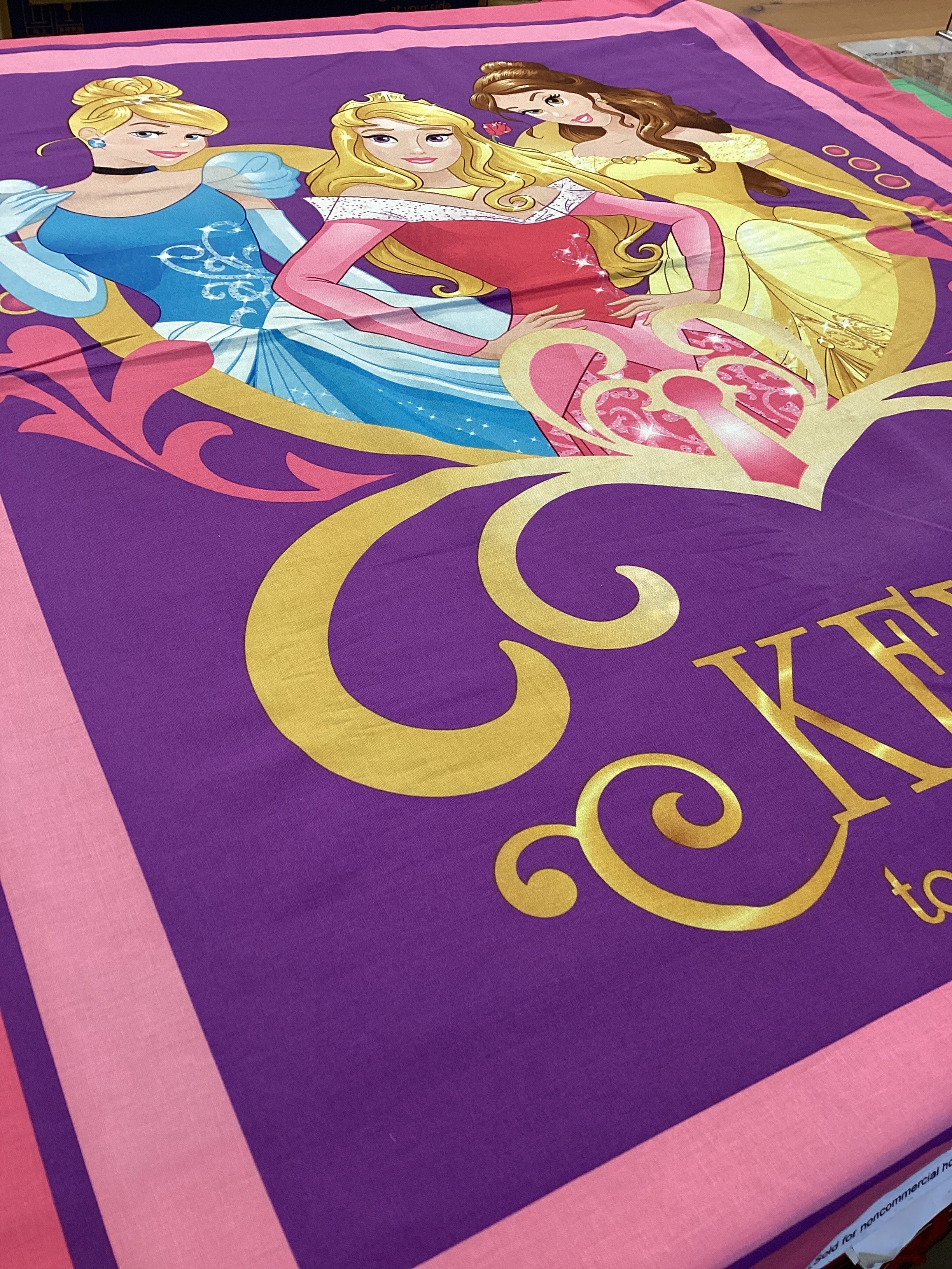 Keys to the Kingdom Princess Panel CP58352