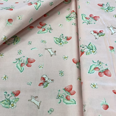 Bunnies & Cream -Penny Rose Fabrics- DB02 - 1/2 Metre