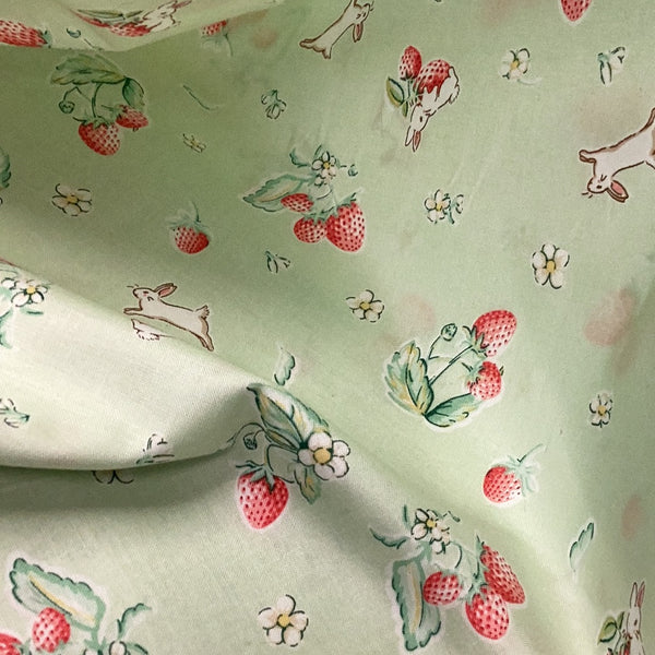Bunnies & Cream C6021  -Penny Rose Fabrics- DB11 - 1/2 Metre