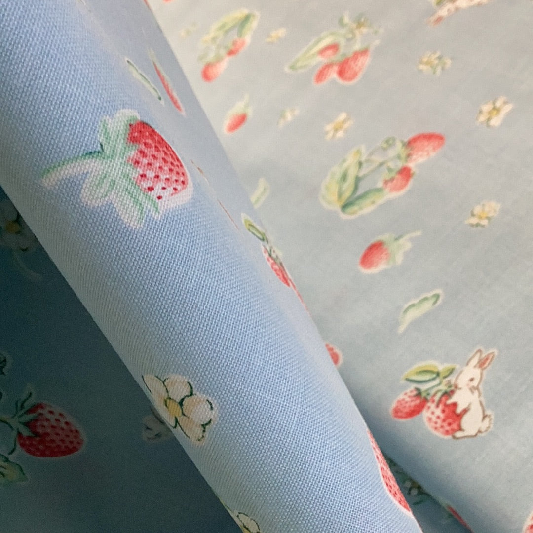 Bunies & Cream C6021 Blue -Penny Rose Fabrics- DB13 - 1/2 Metre