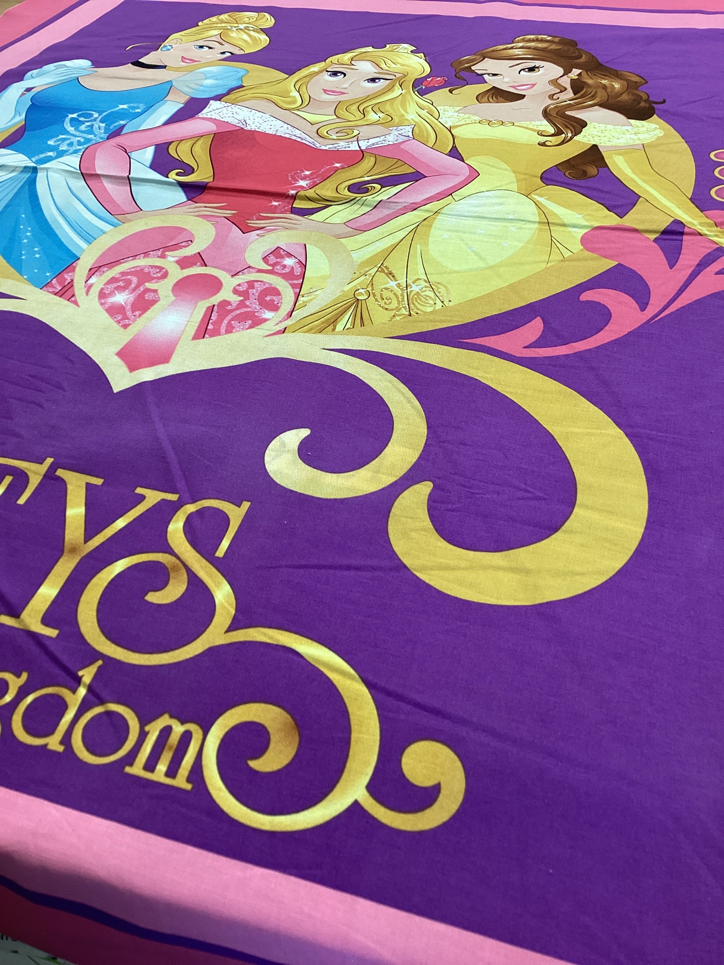 Keys to the Kingdom Princess Panel CP58352