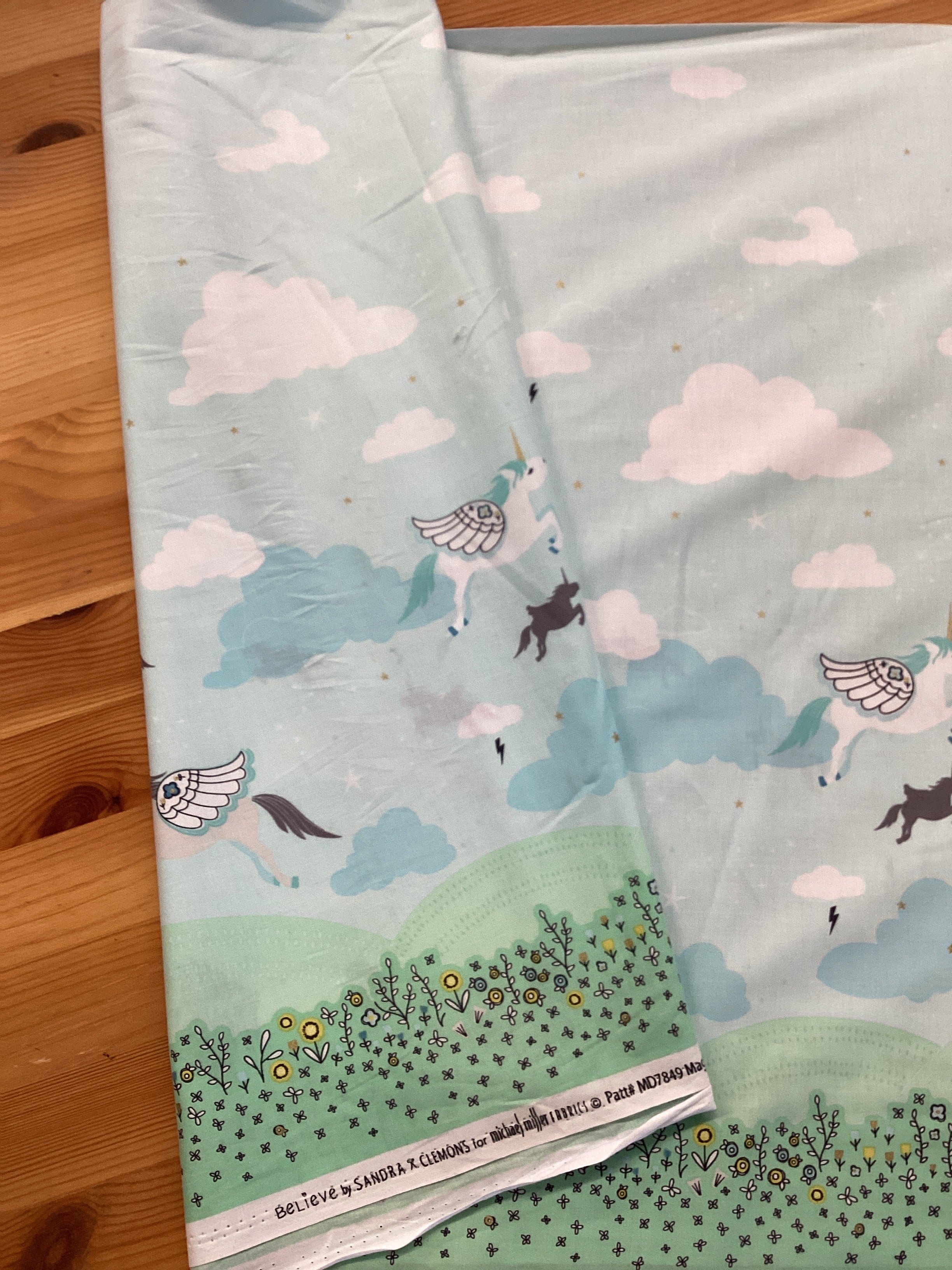 Believe by Sandra Clemons MD7849 Magic Meadow | Michael Miller - 1/2 metre