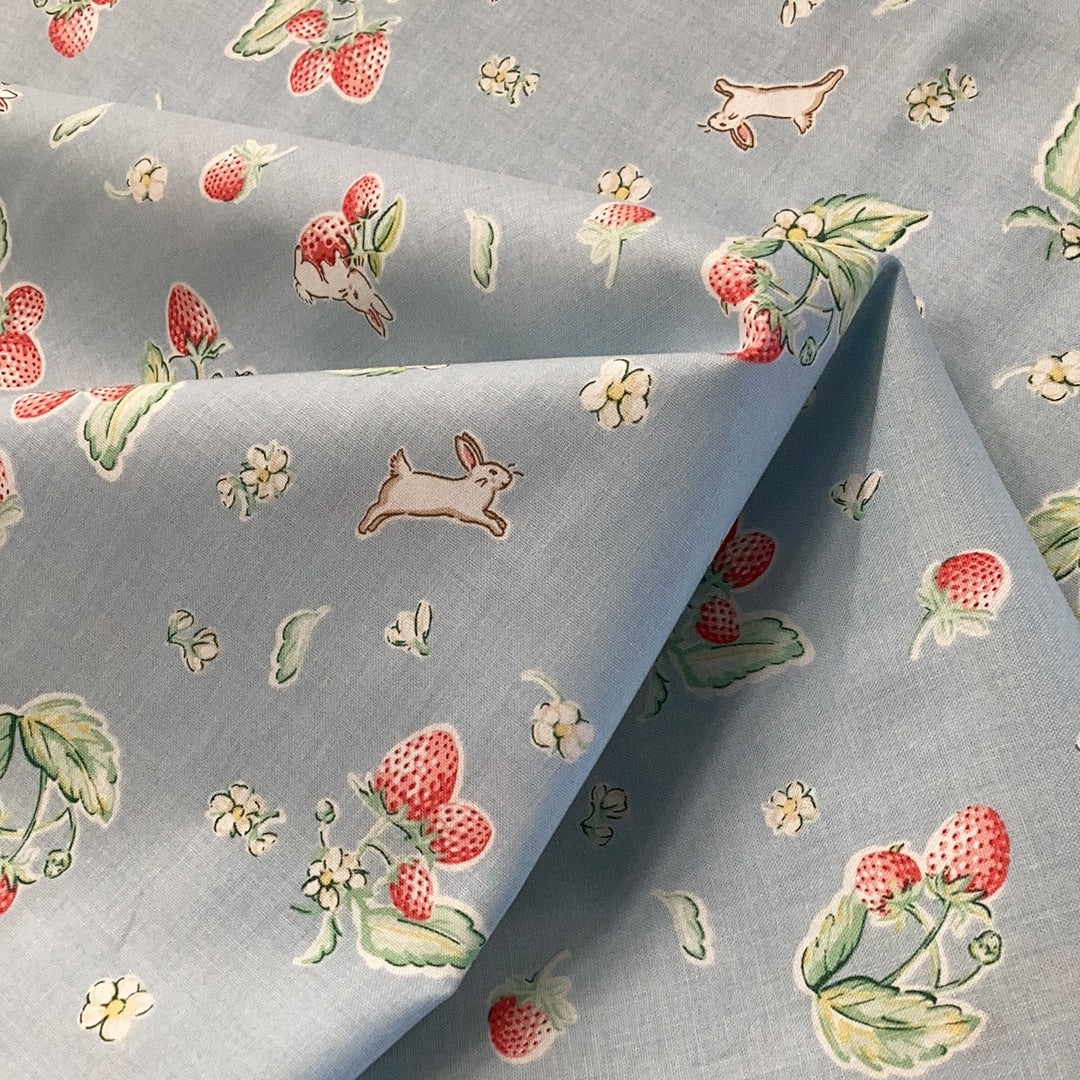 Bunies & Cream C6021 Blue -Penny Rose Fabrics- DB13 - 1/2 Metre