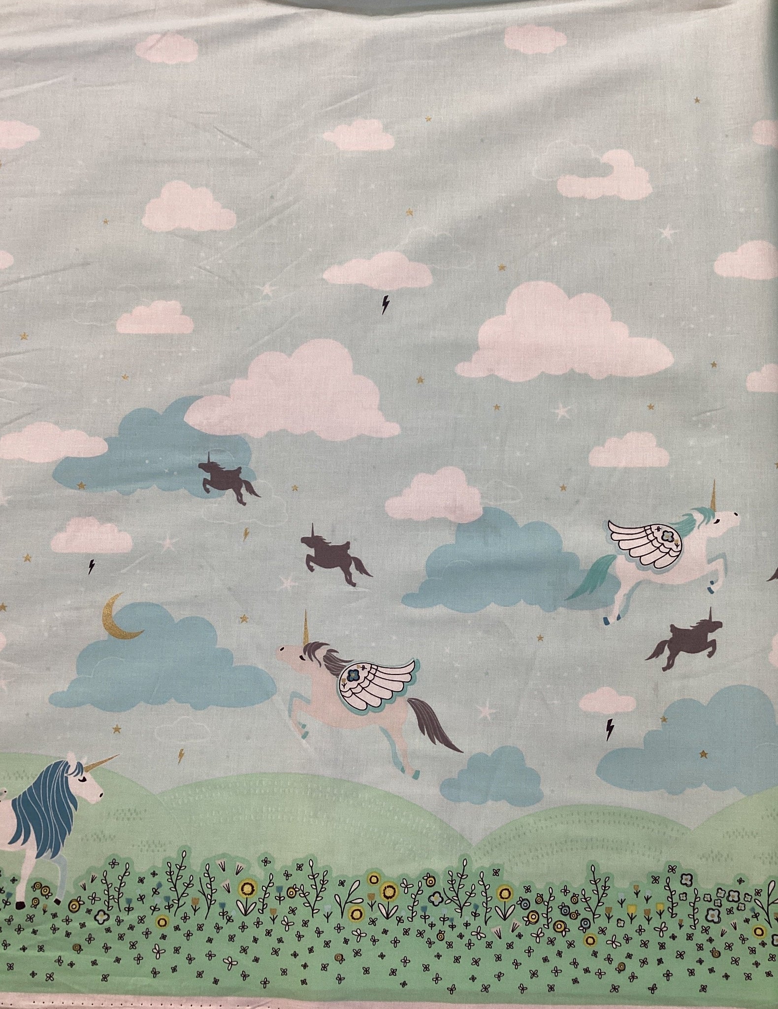 Believe by Sandra Clemons MD7849 Magic Meadow | Michael Miller - 1/2 metre