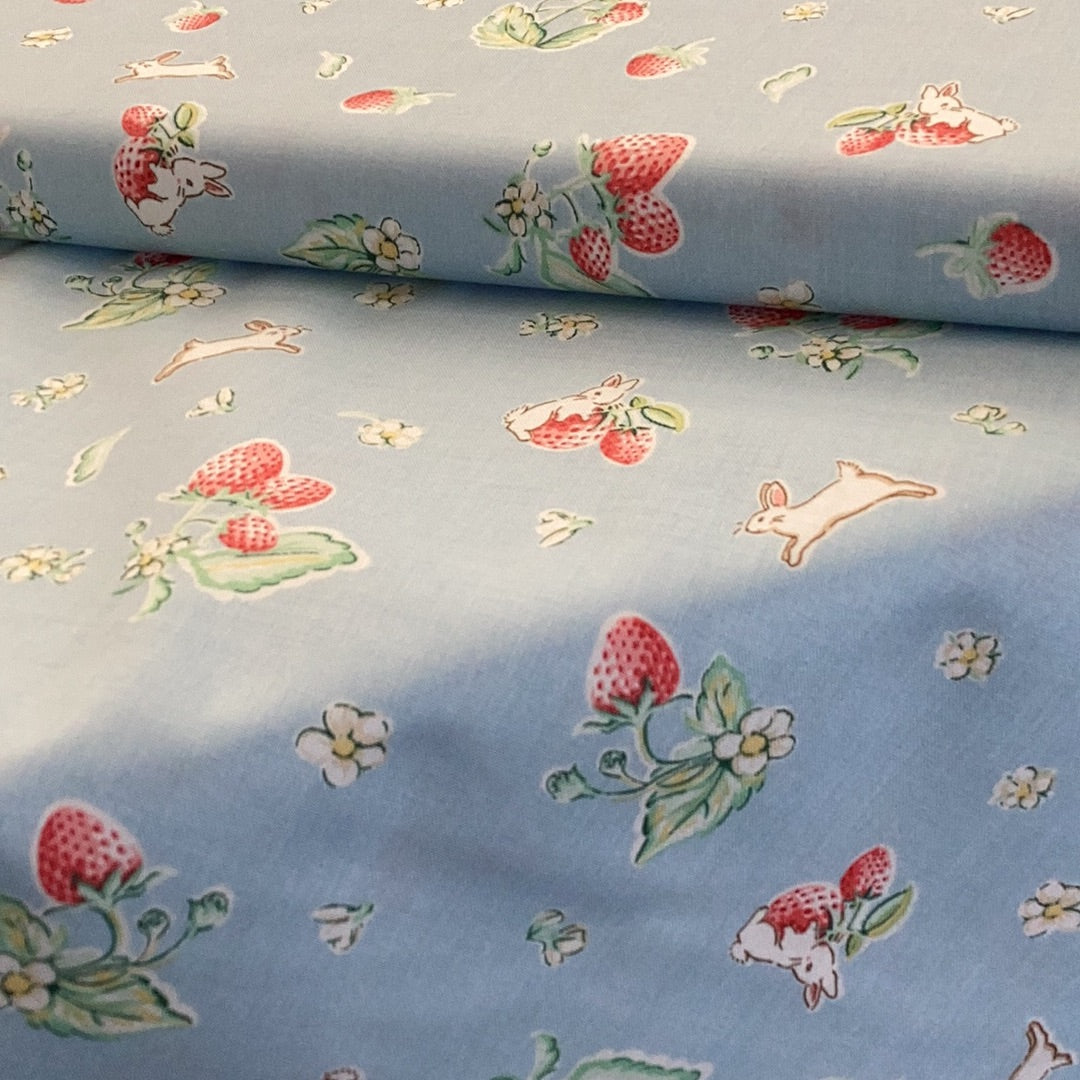 Bunies & Cream C6021 Blue -Penny Rose Fabrics- DB13 - 1/2 Metre