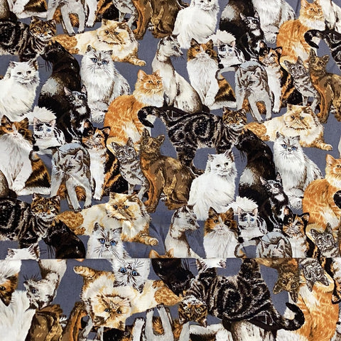 Cats Corner - Scattered Cats | Nutex - 1/2 metre