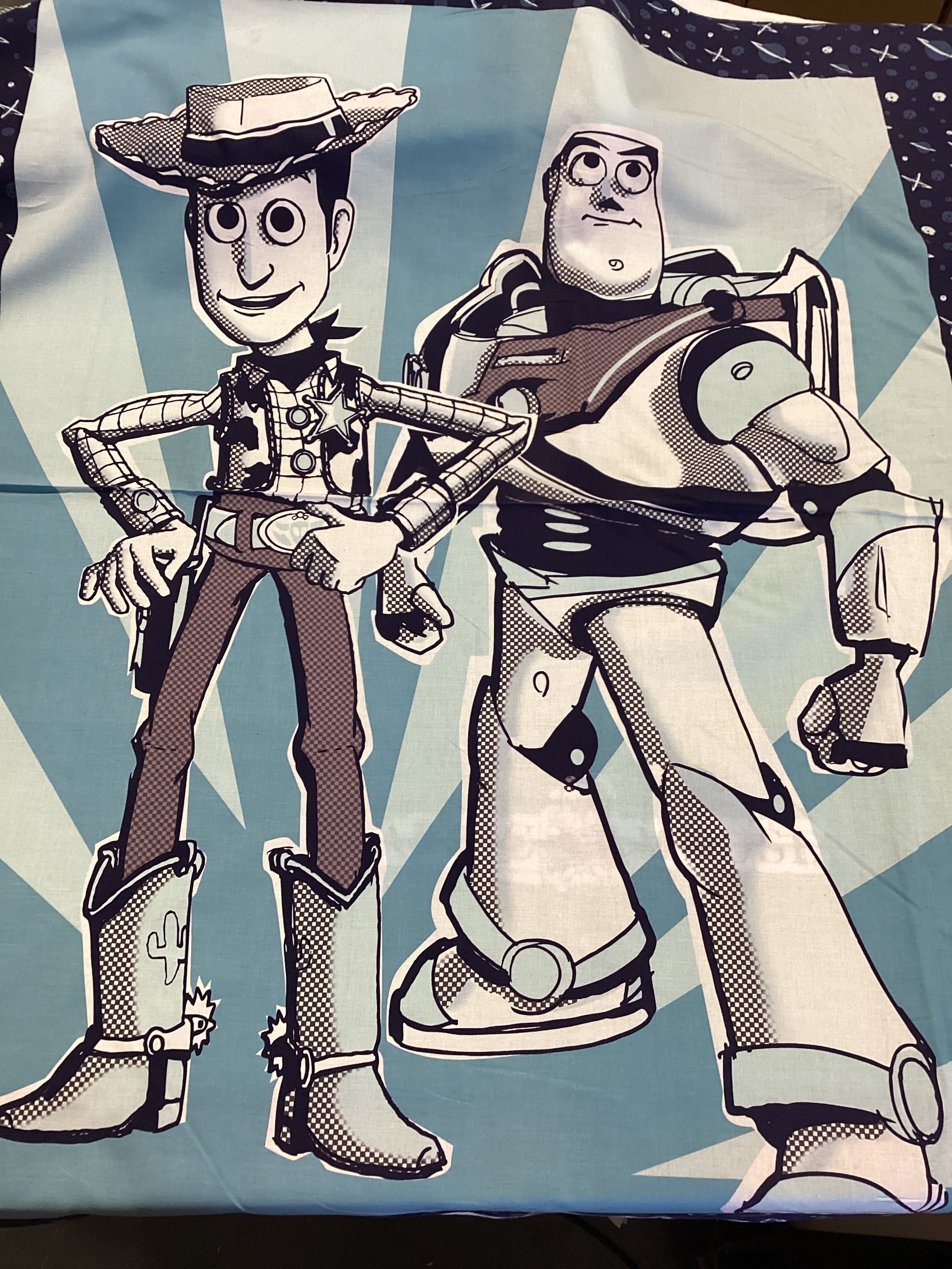 Toy Story Panel 85410106P | Camelot