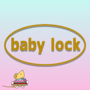 baby lock In-home Sewing machine demonstrations