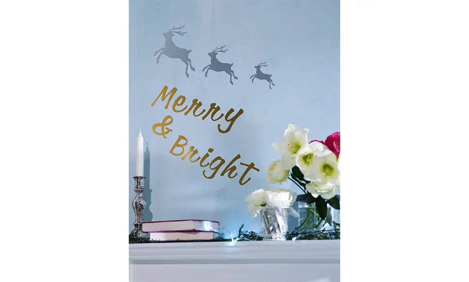 CACDCP01 Christmas Decoration Collection