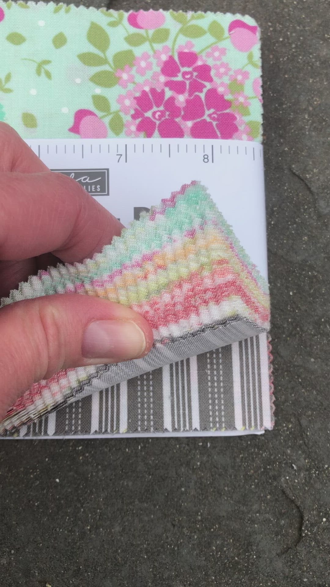 Moda Canning Day by Corey Yoder Charm Pack CP06